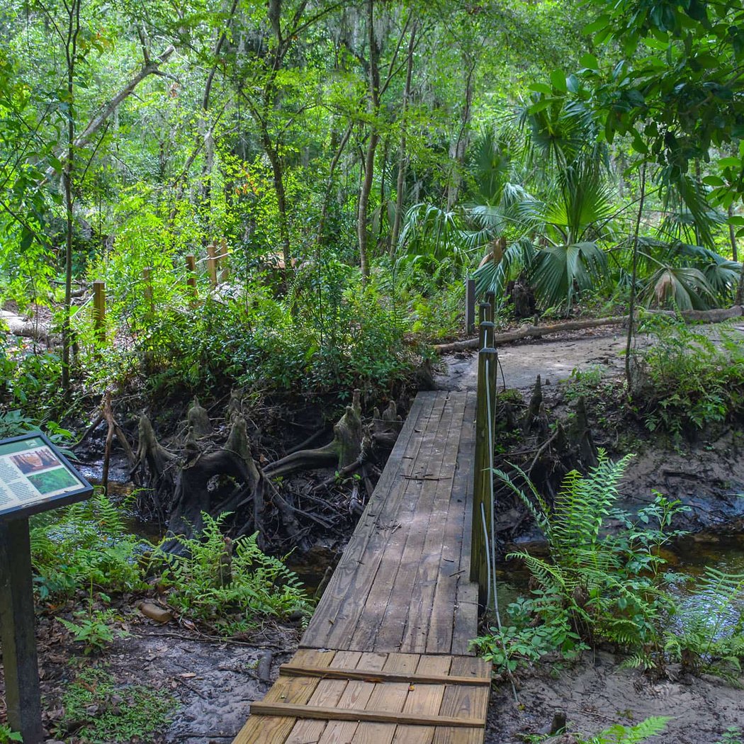 Blue Cypress Park Cleanup with Rising Tides 5
